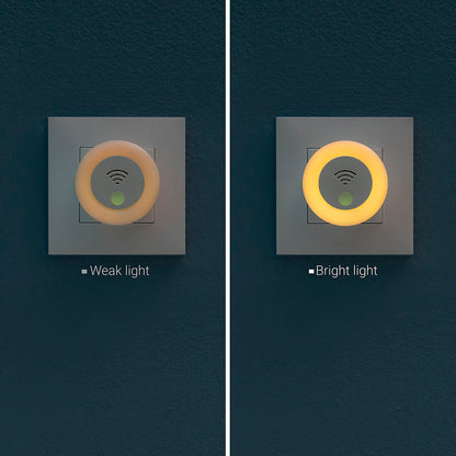 V14H29C750DC7E5C6A985DB46202275C22F4R5277702P5