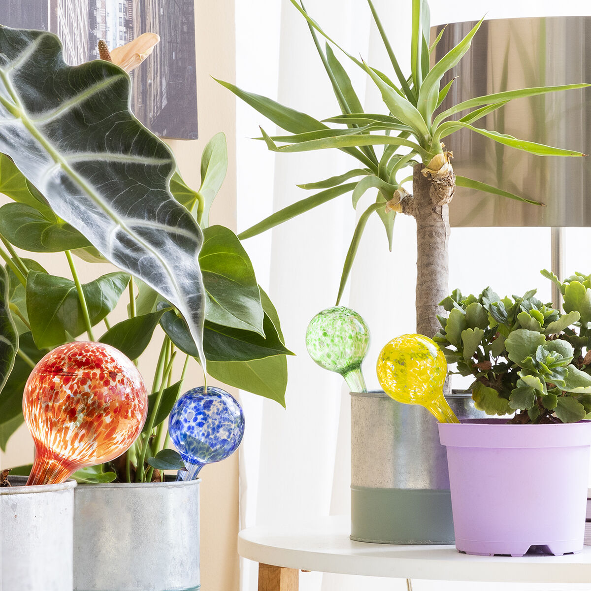 V13H342C48BFE06BBDDB73E1B167E8A3FE7AR5254348P1